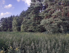 Leśne na sprzedaż, Aleksandrowski Ciechocinek, 200 000 zł, 20 573 m2, 8104/3685/OGS