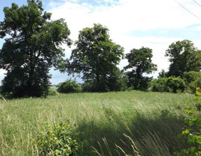 Działka na sprzedaż, Opolski Dąbrowa, 89 000 zł, 1200 m2, 9315/3685/OGS