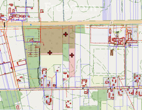 Działka na sprzedaż, Bialski Zalesie Horbów-Kolonia, 2 728 000 zł, 49 600 m2, 9129/3685/OGS