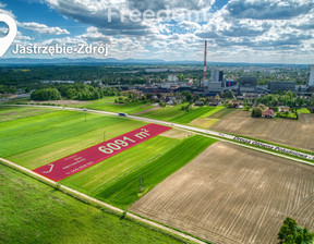 Handlowo-usługowy na sprzedaż, Jastrzębie-Zdrój Dębina, 365 800 zł, 6091 m2, 9146/3685/OGS