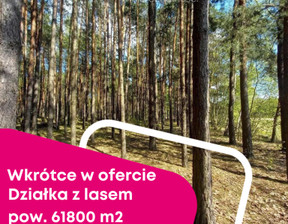 Leśne na sprzedaż, Płoński Baboszewo Goszczyce Poświętne, 199 000 zł, 61 800 m2, 7251/3685/OGS