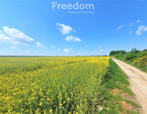 Działka na sprzedaż, Bialski Międzyrzec Podlaski Krzewica, 1 100 000 zł, 101 500 m2, 7723/3685/OGS