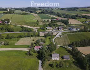 Dom na sprzedaż, Ropczycko-Sędziszowski Wielopole Skrzyńskie Brzeziny, 229 000 zł, 293 m2, 12876/3685/ODS