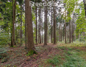 Leśne na sprzedaż, Tarnowski Wojnicz Olszyny, 945 000 zł, 97 900 m2, 8684/3685/OGS