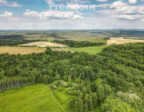 Działka na sprzedaż, Przemyski Bircza Borownica, 111 000 zł, 11 700 m2, 6493/3685/OGS