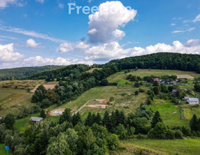 Działka na sprzedaż, Przemyski Bircza Huta Brzuska, 69 000 zł, 6700 m2, 6499/3685/OGS