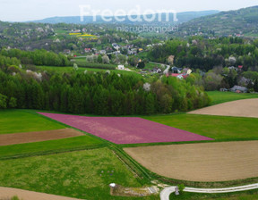 Rolny na sprzedaż, Brzozowski Jasienica Rosielna, 150 000 zł, 2829 m2, 7148/3685/OGS