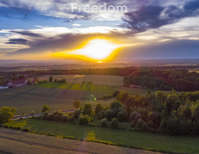 Działka na sprzedaż, Nyski Otmuchów Nadziejów, 300 000 zł, 5130 m2, 8040/3685/OGS