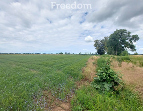 Rolny na sprzedaż, Malborski Malbork Kamienica, 78 000 zł, 9400 m2, 8648/3685/OGS