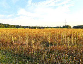 Działka na sprzedaż, Węgrowski Miedzna Zuzułka, 150 000 zł, 3001 m2, 8724/3685/OGS