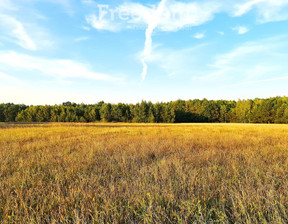 Działka na sprzedaż, Węgrowski Miedzna Zuzułka, 60 000 zł, 3001 m2, 8724/3685/OGS