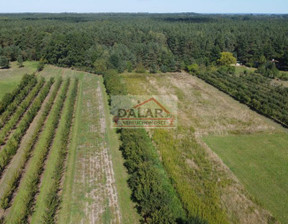Rolny na sprzedaż, Piaseczyński Góra Kalwaria Pęcław, 260 000 zł, 12 953 m2, 20907/DLR/DZS-211957