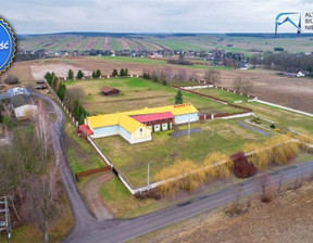 Działka na sprzedaż, Krasnostawski Fajsławice Siedliska Pierwsze, 995 000 zł, 21 800 m2, LER-GS-2834