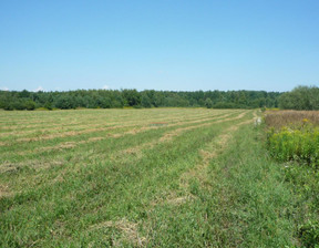 Działka na sprzedaż, Piaseczyński Prażmów Nowy Prażmów, 2 000 000 zł, 35 000 m2, 19430