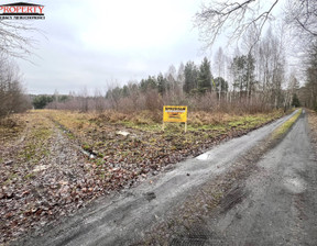 Działka na sprzedaż, Pabianicki Dłutów Huta Dłutowska Huta Dłutowska, 160 000 zł, 1325 m2, PRO-GS-10489