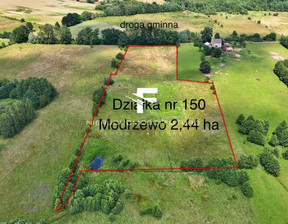 Działka na sprzedaż, Stargardzki Suchan Modrzewo, 169 000 zł, 24 400 m2, 132/6803/OGS