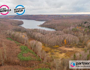 Działka na sprzedaż, Gdański Przywidz Miłowo, 310 000 zł, 21 600 m2, PAN692757