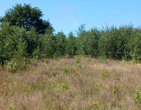 Budowlany na sprzedaż, Kartuski Przodkowo Warzenko Rumiankowa, 340 000 zł, 1252 m2, PAN795649