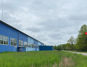 Fabryka, zakład do wynajęcia, Skierniewice, 188 070 zł, 12 538 m2, 530