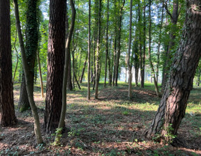 Budowlany na sprzedaż, Piaseczyński Konstancin-Jeziorna, 2 490 000 zł, 3915 m2, 3833