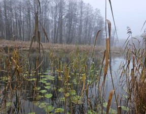 Działka na sprzedaż, Szczycieński Świętajno Koczek, 125 000 zł, 19 500 m2, 3339