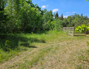 Rolny na sprzedaż, Szczycieński Szczytno Olszyny, 119 045 zł, 4105 m2, 2895