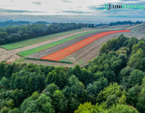 Działka na sprzedaż, Krakowski Liszki Czułów, 180 000 zł, 5100 m2, 236/12014/OGS