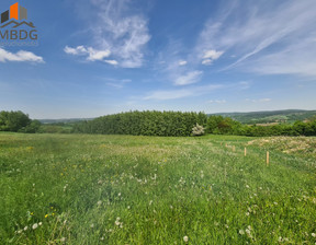 Działka na sprzedaż, Bocheński Łapanów Zbydniów, 250 000 zł, 8200 m2, 64/6680/OGS