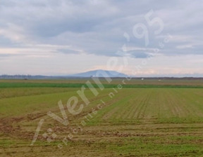 Rolny na sprzedaż, Wrocławski Kąty Wrocławskie Stoszyce, 250 000 zł, 10 300 m2, VX619891