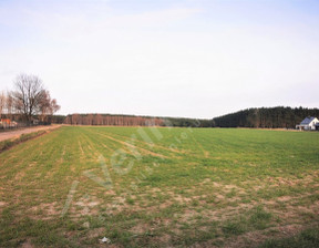 Rolny na sprzedaż, Leszno, 2 100 000 zł, 16 900 m2, VX370309