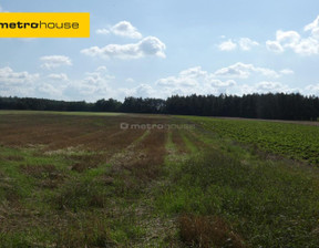 Działka na sprzedaż, Płoński Naruszewo Drochowo, 600 000 zł, 60 500 m2, LOCO285