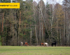 Działka na sprzedaż, Piotrkowski Wolbórz Leonów, 450 000 zł, 8470 m2, BYHY469