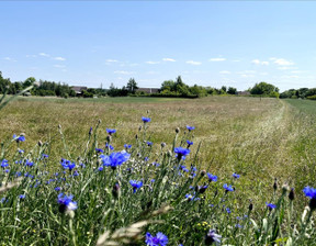 Rolny na sprzedaż, Gryficki Trzebiatów Rogozina, 105 000 zł, 3005 m2, TIDO716