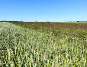 Rolny na sprzedaż, Gryficki Trzebiatów Rogozina, 99 000 zł, 916 m2, WYBA136