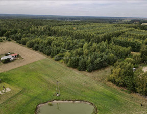 Rolny na sprzedaż, Nowomiejski Kurzętnik Tereszewo, 179 000 zł, 3054 m2, SIRA812