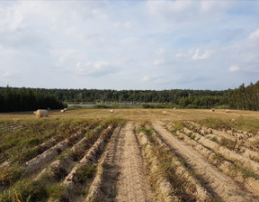 Rolny na sprzedaż, Poznański Stęszew Wielka Wieś, 1 318 940 zł, 9421 m2, NAME566