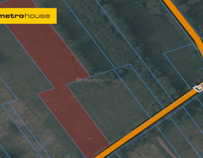 Działka na sprzedaż, Nowodworski Czosnów Brzozówka, 250 000 zł, 19 622 m2, SGLUCY728