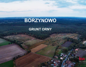 Rolny na sprzedaż, Milicki (Pow.) Milicz (Gm.) Borzynowo, 799 000 zł, 160 200 m2, KW/JZ/20240105