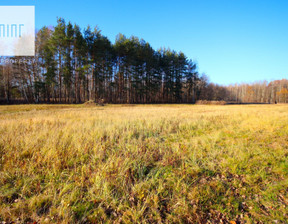 Działka na sprzedaż, Sędziszów Małopolski Borek Wielki, 74 175 zł, 989 m2, 22560