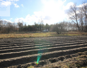 Działka na sprzedaż, Dąbie, 31 000 zł, 8100 m2, 17772