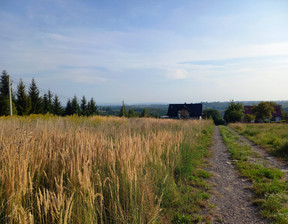 Budowlany na sprzedaż, Krakowski (Pow.) Skała (Gm.) Świńczów, 300 000 zł, 1125 m2, 19236260