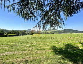 Budowlany na sprzedaż, Nowosądecki (Pow.) Grybów (Gm.) Ptaszkowa, 498 000 zł, 8300 m2, 099G