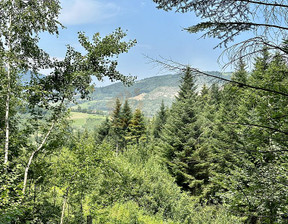 Działka na sprzedaż, Nowosądecki (pow.) Chełmiec (gm.) Klęczany, 16 000 zł, 2500 m2, 081G