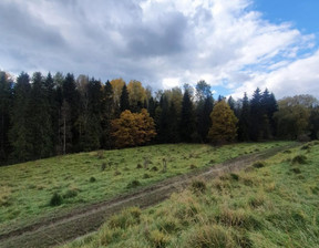 Działka na sprzedaż, Nowotarski Rabka-Zdrój, 126 000 zł, 3386 m2, SBK-GS-16871