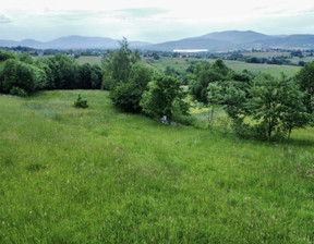 Działka na sprzedaż, Żywiecki (pow.) Gilowice (gm.) Rychwałd, 42 000 zł, 1100 m2, PRO300_PL965549