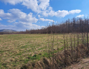 Rolny na sprzedaż, Jasielski (pow.) Osiek Jasielski (gm.) Pielgrzymka, 110 000 zł, 17 019 m2, 122