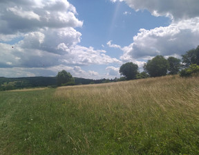 Działka na sprzedaż, Jasielski Nowy Żmigród Makowiska, 38 000 zł, 9700 m2, 12