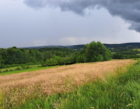 Rolny na sprzedaż, Jasielski Kołaczyce Sieklówka, 52 000 zł, 8575 m2, 134