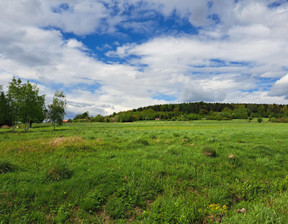 Działka na sprzedaż, Gorlicki Lipinki, 48 900 zł, 3031 m2, 120