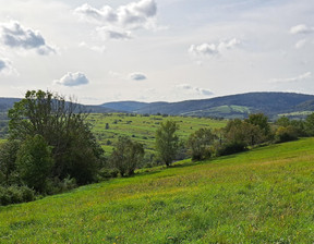 Działka na sprzedaż, Krośnieński Jaśliska Posada Jaśliska, 55 000 zł, 9900 m2, 142